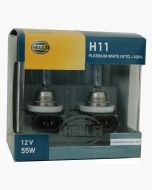 H11-PW100DP2
