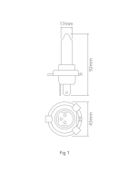 Ionnic 64196 Globe Halogen H4 24V 75/70W P43t-38