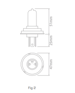 Ionnic 64198 Globe Halogen H4 12V 60/55W P43t-38
