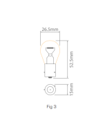 Ionnic 9507/10 Globe Halogen Truckstar Pro 24V 21W BAU1